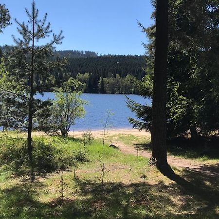 Rodinne Ubytovani Krauskopfovi Lipno nad Vltavou Zewnętrze zdjęcie