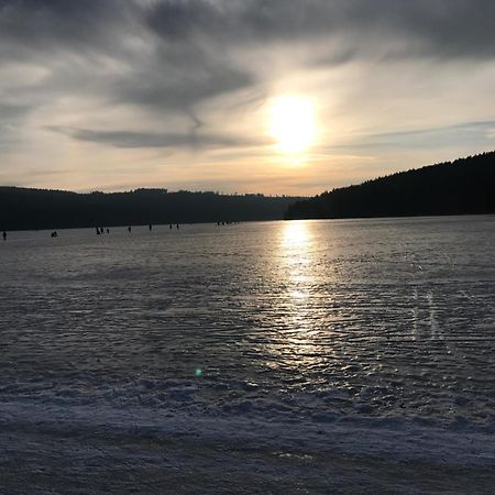 Rodinne Ubytovani Krauskopfovi Lipno nad Vltavou Zewnętrze zdjęcie