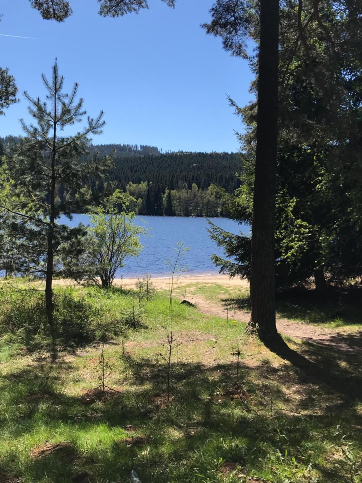 Rodinne Ubytovani Krauskopfovi Lipno nad Vltavou Zewnętrze zdjęcie