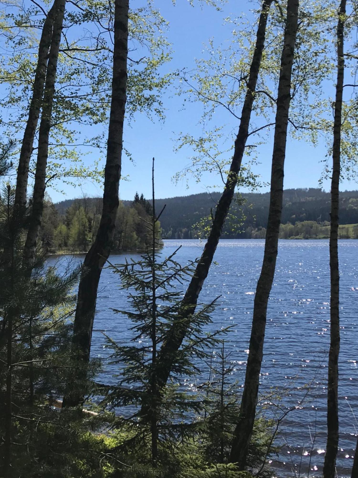 Rodinne Ubytovani Krauskopfovi Lipno nad Vltavou Zewnętrze zdjęcie